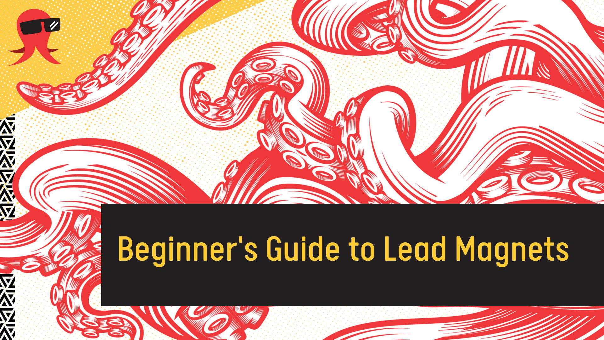 Begginers-Guide-to-Lead-Magnets-Cover-Image-1