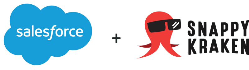 Salesforce CRM Integration for Financial Advisors