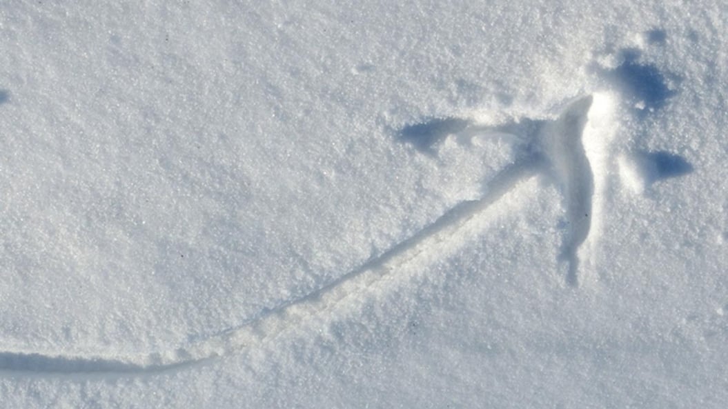 Deliberately Thoughtful: Why Timely Emails Matter (and a Look at Our Latest Inflation Update)