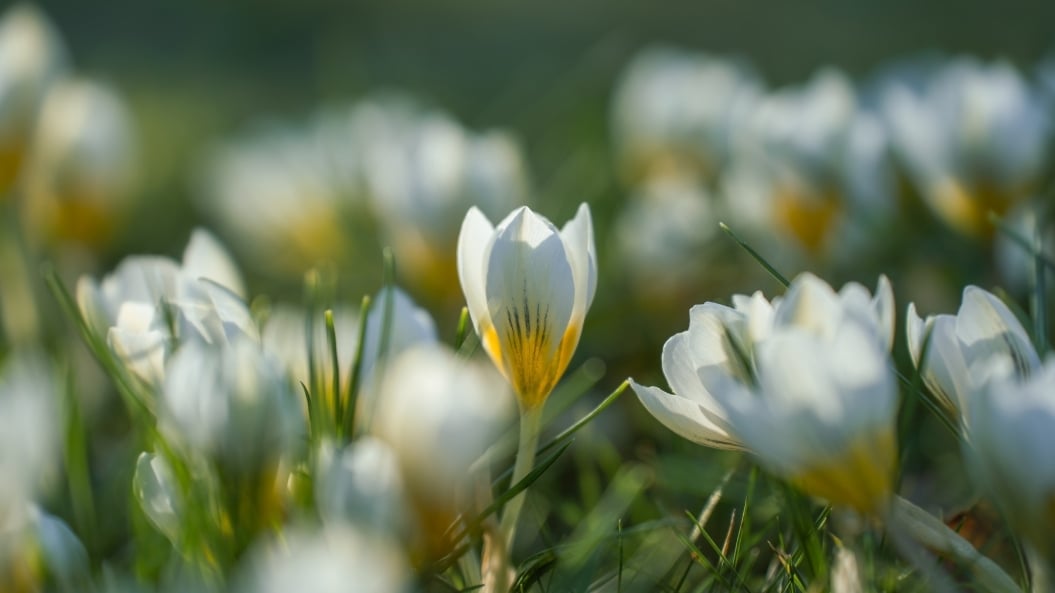 Three Things Advisors Are Navigating This Spring