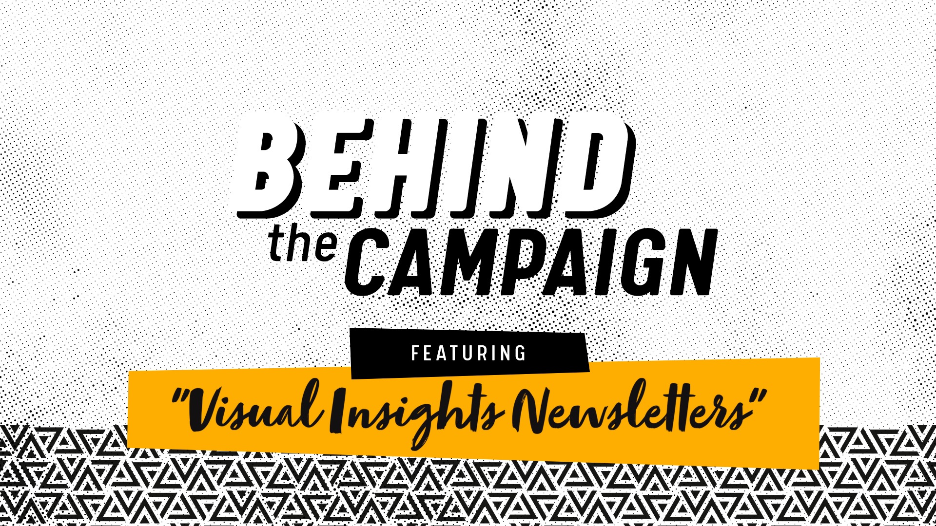 Behind the Campaign: Visual Insights Newsletters