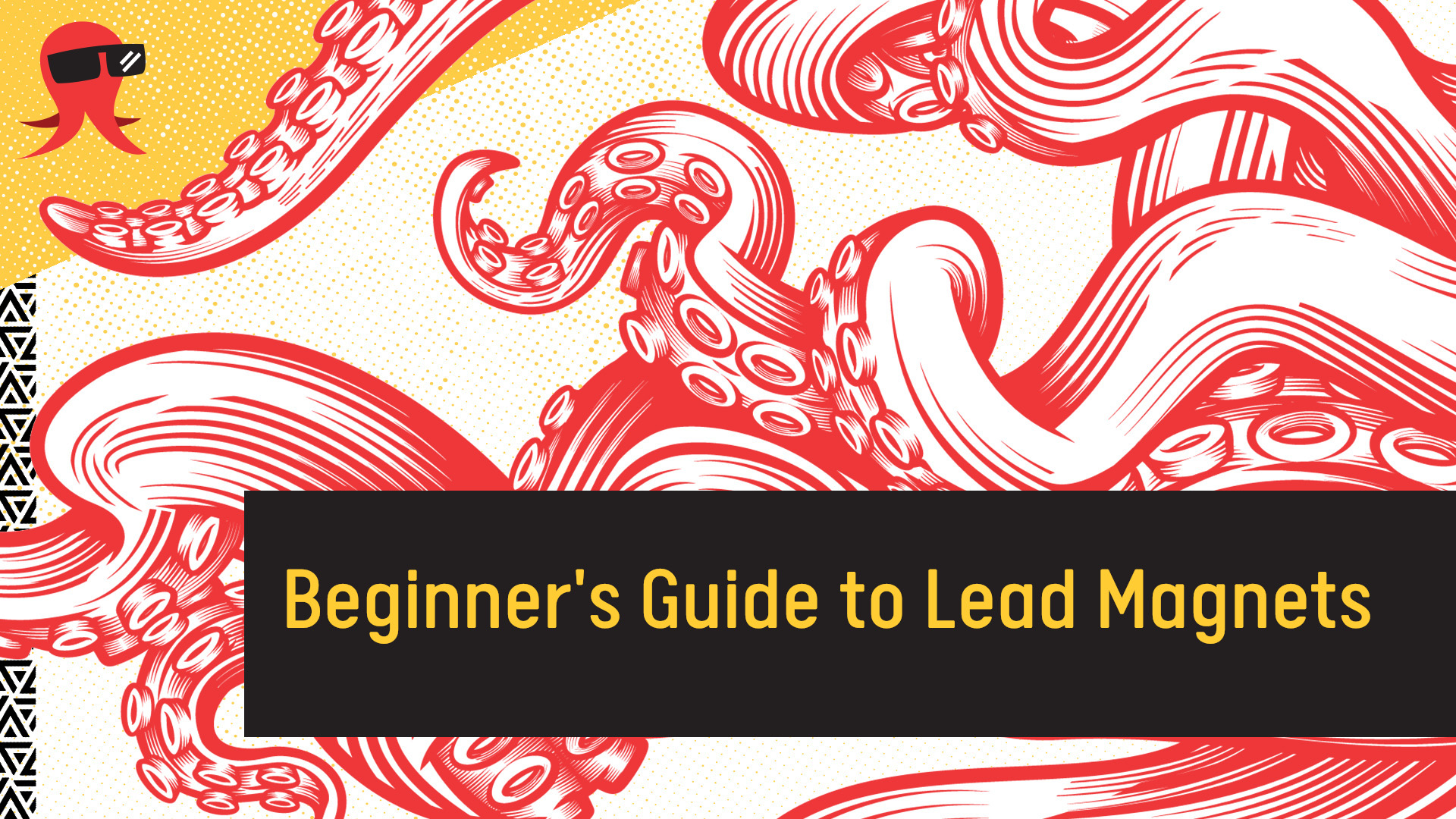 Beginner’s Guide to Lead Magnets