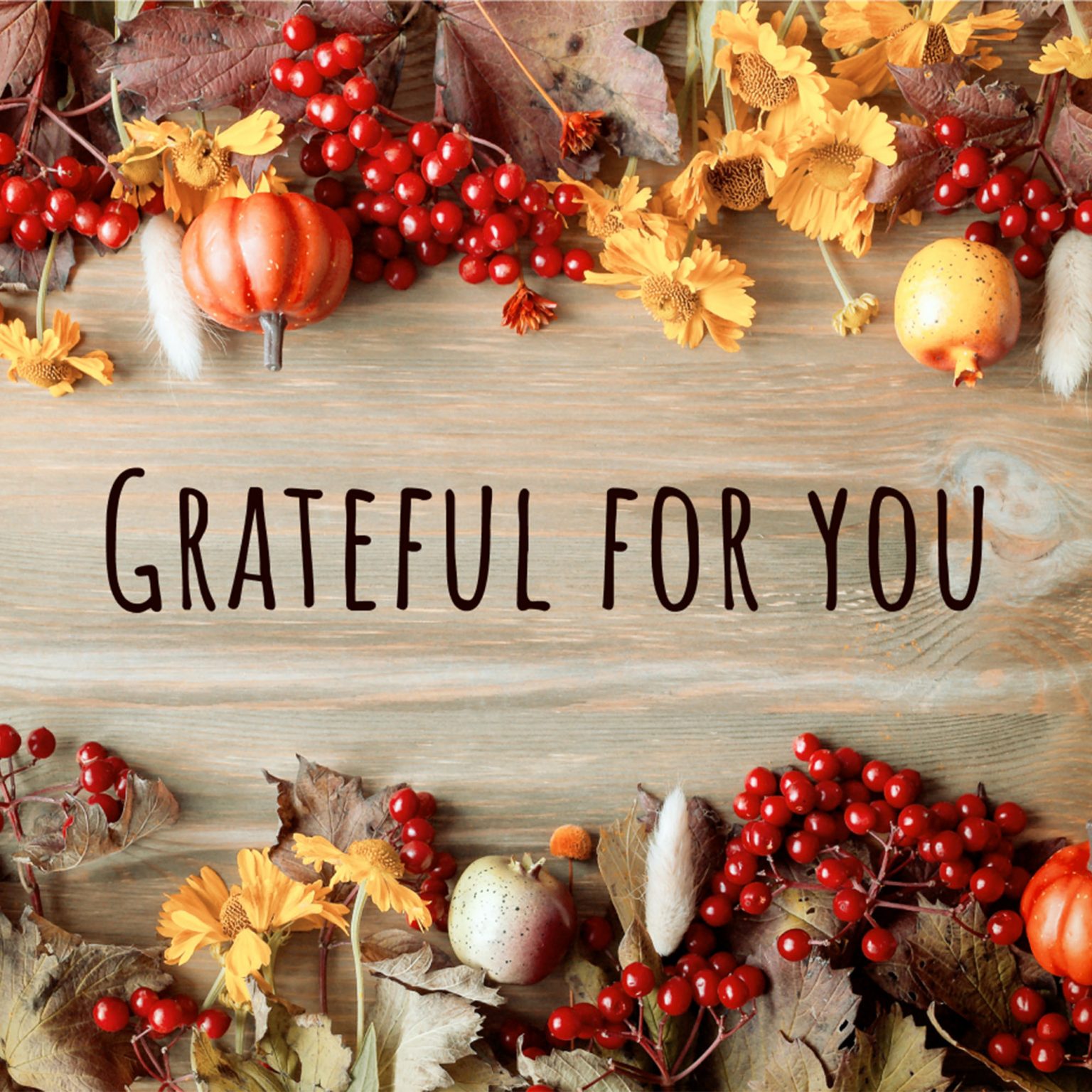 [NEW] Email Communication Fall Seasonal Email Card Snappy Kraken