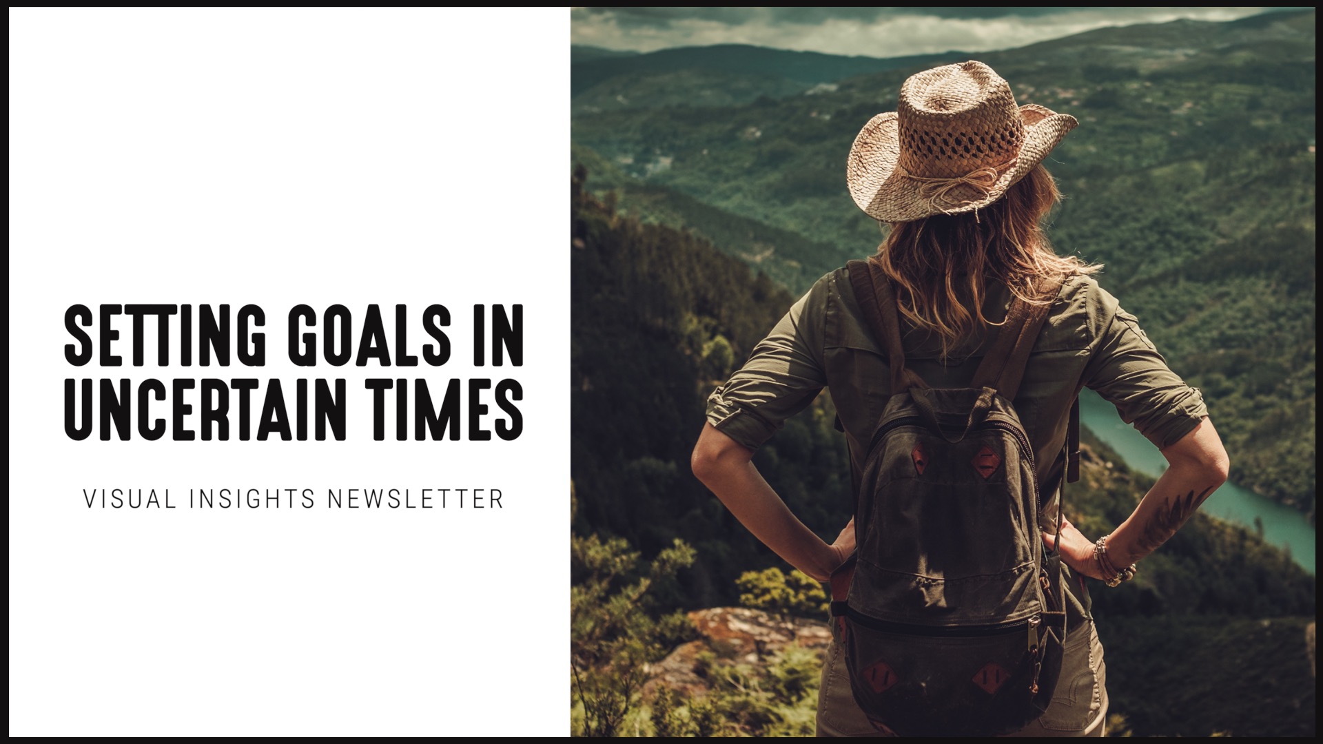 [NEW] Visual Insights Newsletter | Setting Goals in Uncertain Times