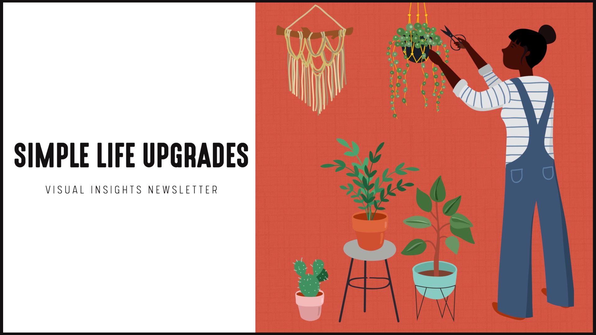 [NEW] Visual Insights Newsletter | Simple Life Upgrades