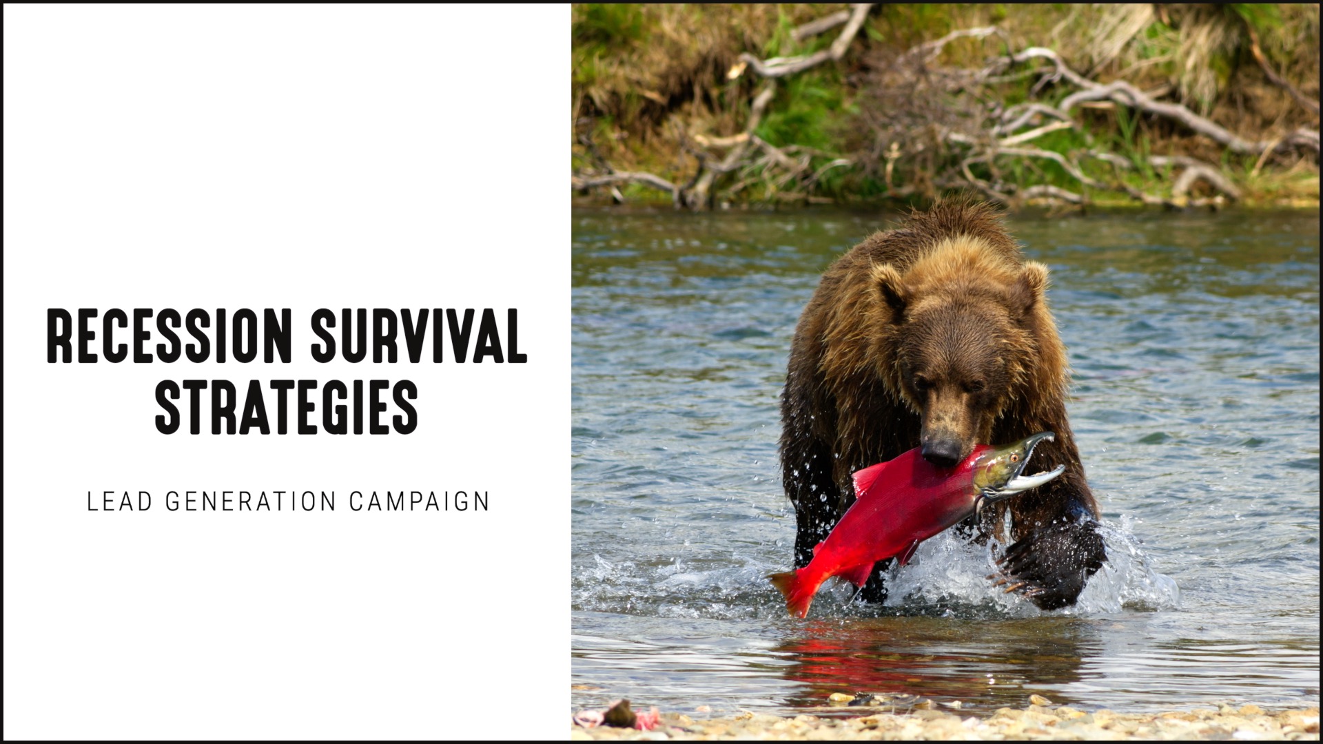 [NEW] Recession Survival Strategies - Lead Generation Campaign for Financial Advisors