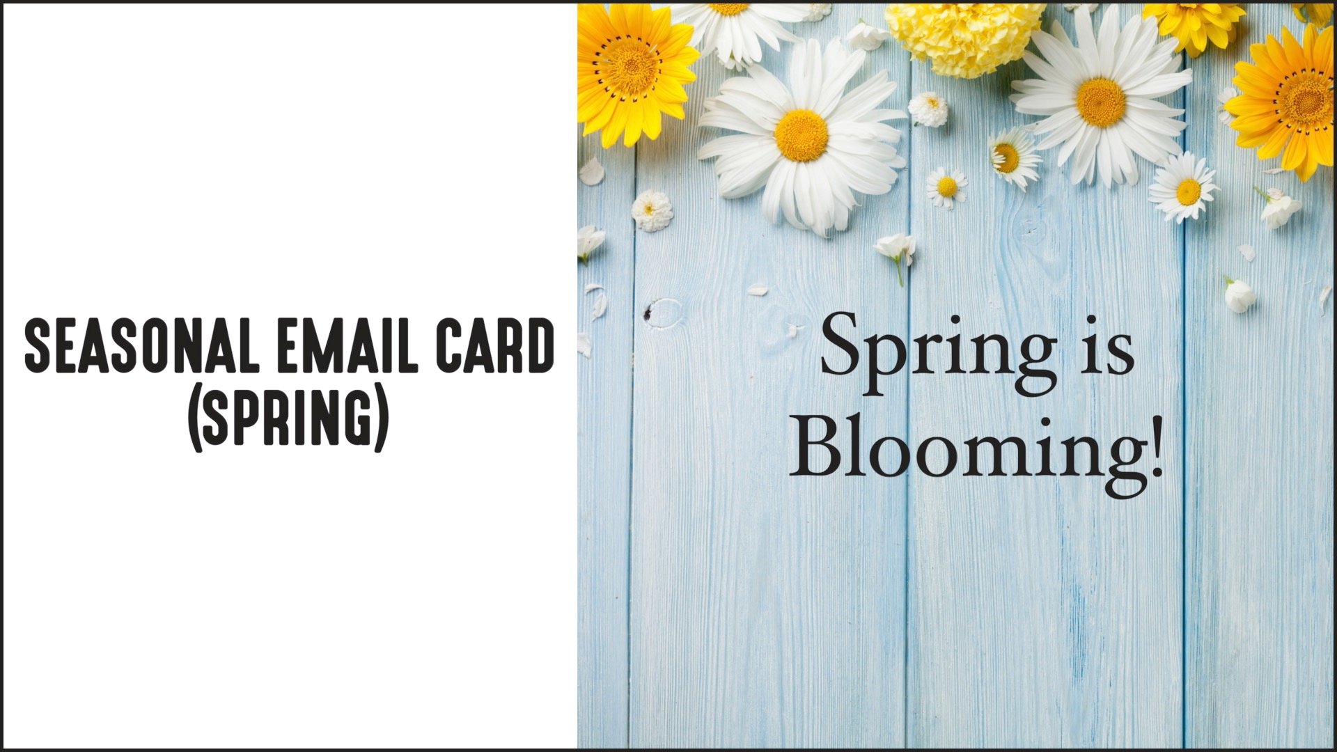 [NEW] Email Communication – Spring Seasonal Card